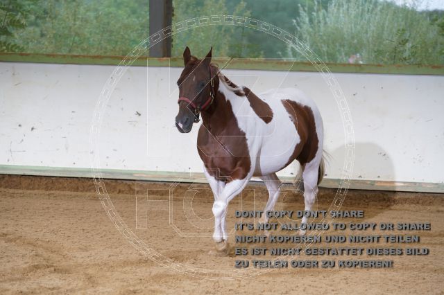 a_K3F03435.JPG